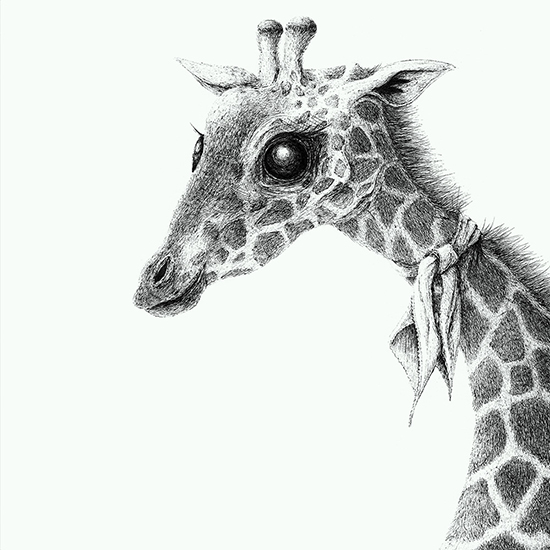 Giraffe Illustration